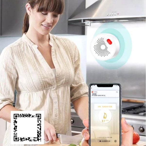 Sensor De Gas Wifi Tuya Smart Google Home Alexa
