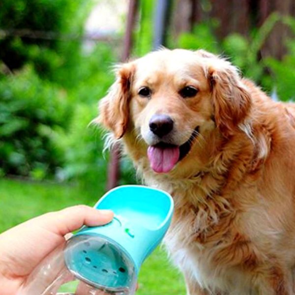 Botella Para Mascotas Tkm 350ml Portatil Bebedero Perro Gato