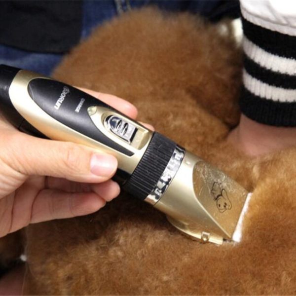 Set Completo Máquina Cortar Pelo Perro Silenciosa Recargable