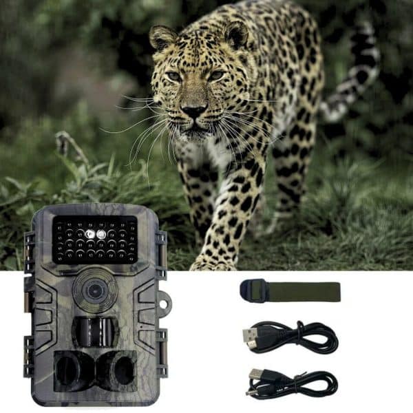 Cámara Trampa Camping Caza 36mp Hd 1080p Nocturna Ip65 Pr700