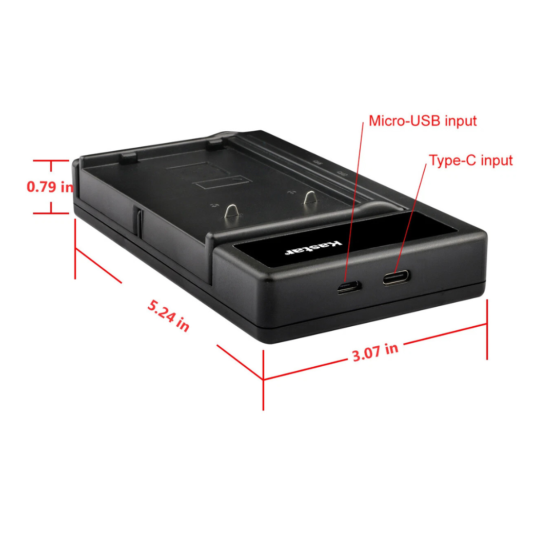 Cargador para Panasonic PV-L558 PV-L559 PV-L600 PV-L601 PV-L650