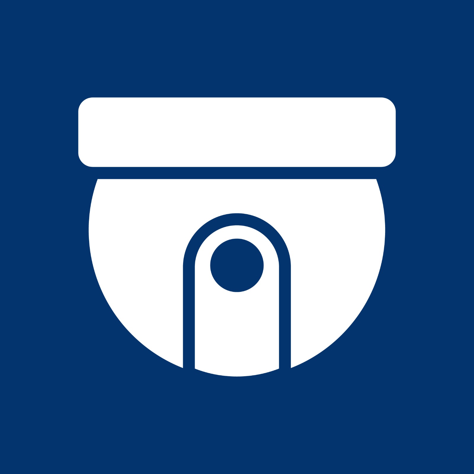 Seguridad Electrónica