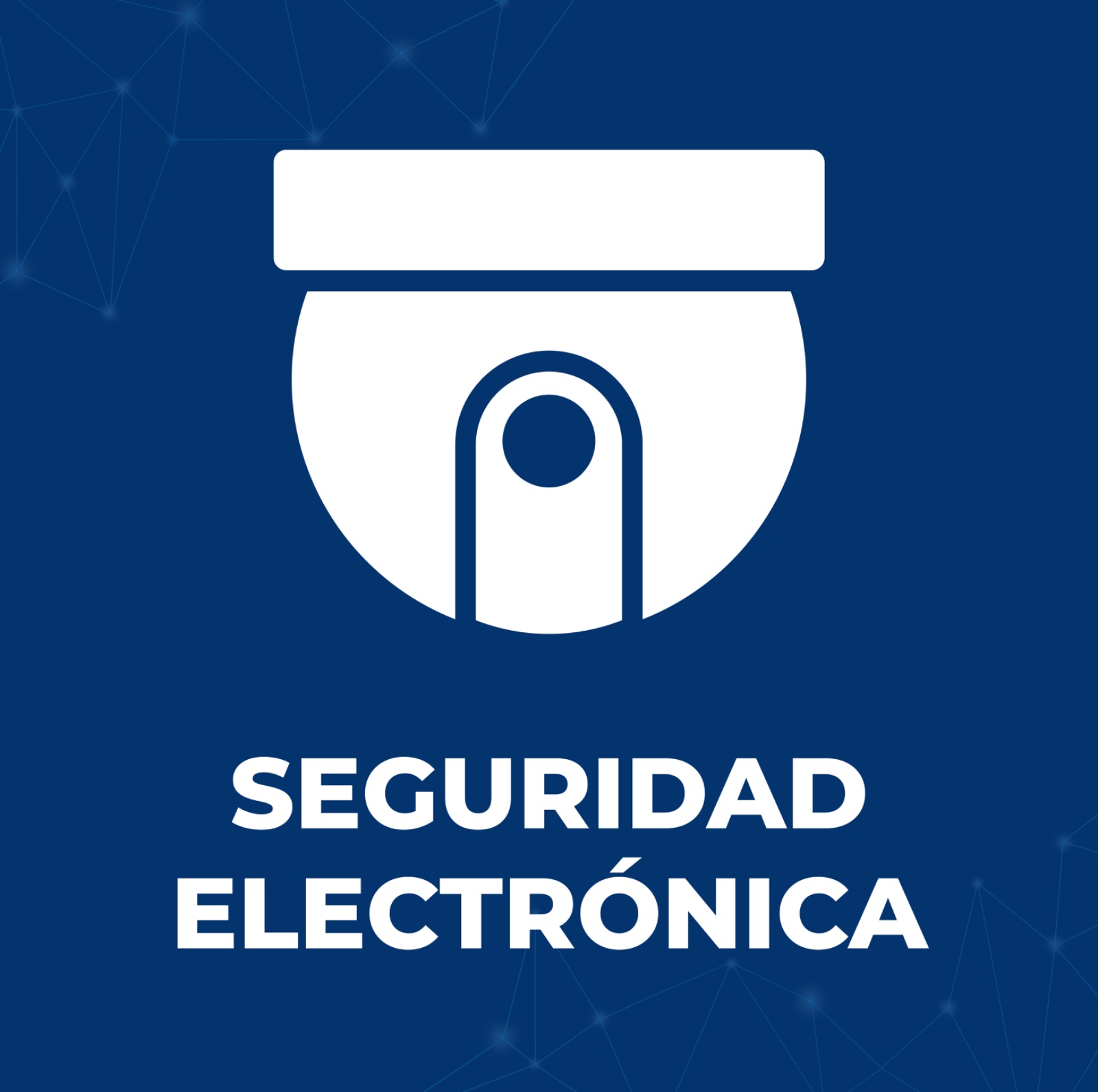 Seguridad Electrónica